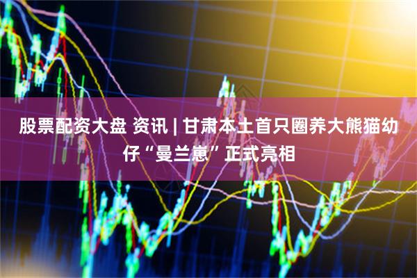 股票配资大盘 资讯 | 甘肃本土首只圈养大熊猫幼仔“曼兰崽”正式亮相
